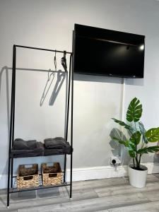 a glass display case with a tv on top at DVM escape Flat 2 in Bristol