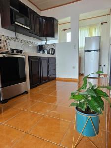 an empty kitchen with a plant in a pot at Volcano View Apartment in Fortuna