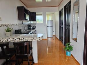 a kitchen with a sink and a counter top at Volcano View Apartment in Fortuna
