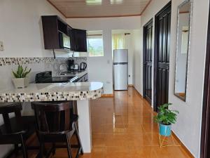 a kitchen with a sink and a counter top at Volcano View Apartments in Fortuna
