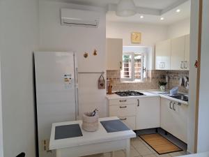 a kitchen with a refrigerator and a counter in it at La casa delle sirene sul mare di Anzio in Anzio