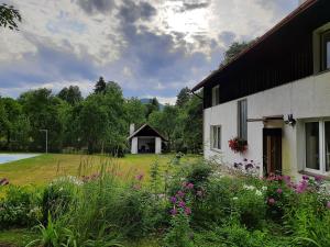 Zahrada ubytování Apartmány Waldex