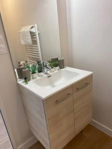 un bagno con lavandino e specchio di Superbe studio centre ville * clim * WIFI * Haut de gamme * ad Angoulême