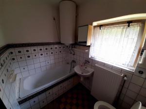a bathroom with a tub and a sink at Apartmány Waldex in Jetřichovice