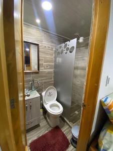 La petite salle de bains est pourvue de toilettes et d'un lavabo. dans l'établissement MINISUITES Parque Infantil PASTO, à Pasto