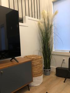 TV i/ili multimedijalni sistem u objektu Room in a New Guest House