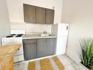 Kuchyň nebo kuchyňský kout v ubytování Oasis Inn