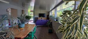 Habitación con mesa, plantas y sofá en PENSION TOKA EVA en Nuku Hiva