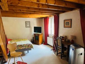 Schlafzimmer mit einem Bett, einem Schreibtisch und einem TV in der Unterkunft LE JARDIN DU VENDOME in Tours
