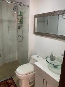 y baño con aseo, lavabo y ducha. en Apartamento en Pereira excelente ubicación, en Pereira