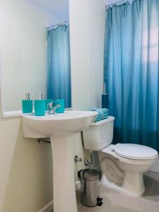 een badkamer met een wastafel en een toilet met een blauw douchegordijn bij Casa Aloe Villarrica con Aire Acondicionado in Villarrica