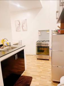 Kuchnia lub aneks kuchenny w obiekcie Masha Bear Residence