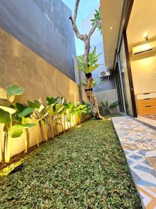 a hallway with plants and a tree on the wall at Rania Guest House in Salakan