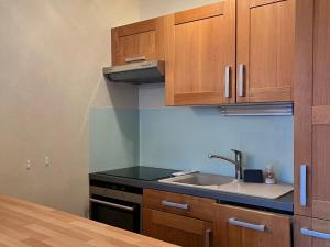Kuchyň nebo kuchyňský kout v ubytování Appartement cosy au pied des pistes, 2 chambres - FR-1-515-161