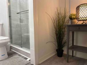 a bathroom with a toilet and a table with a plant at Chic Bungalow Apartment steps from Armature Works & Downtown Riverwalk in Tampa +39 photos