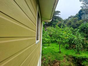 Ảnh trong thư viện ảnh của CASA ISAMAR ở Monteverde Costa Rica