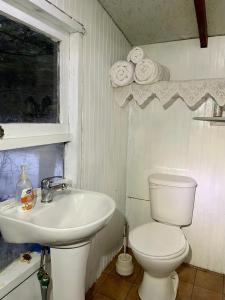 a white bathroom with a toilet and a sink at Refugio El Cauque in Puerto Williams