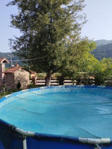 uma grande piscina azul com uma árvore ao fundo em Etno Konak Angela em Kalna