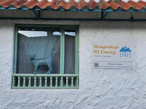 eine Statue einer Katze, die in einem Fenster sitzt in der Unterkunft PUEBLITO BOYACENSE - Hospedaje El Cocuy in Duitama