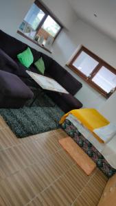 ein Wohnzimmer mit einem Bett und einem Sofa in der Unterkunft AG Studio Apartment in Gabčíkovo in Gabčíkovo