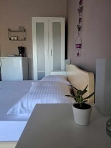 a bedroom with a white bed with a potted plant at Meerithic ROKKA ROOMS in Vourvourou