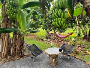 une table, des chaises et des bananes suspendues à un arbre dans l'établissement Tam An Lakeview House, à Buôn Ma Thuột