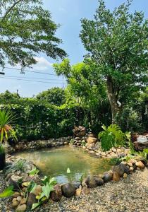a pond in a garden with rocks and trees at Tam An Lakeview House in Buon Ma Thuot