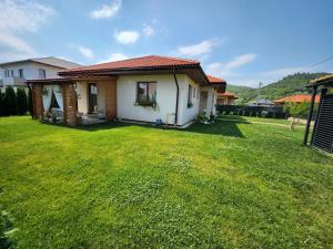 una pequeña casa con un césped verde delante de ella en Julia's home en Tăuţii Măgheruş