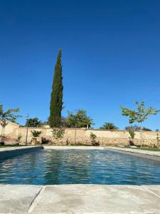 The swimming pool at or close to Castillo de Bulbuente de Luis Zueco
