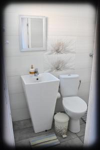 a bathroom with a sink and a toilet and a mirror at Casa Fotografului Studio Marines in Constanţa +22 photos