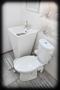 Koupelna v ubytování Casa Fotografului Studio Marines