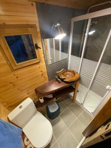 een kleine badkamer met een toilet en een wastafel bij Alpine love shack in Villar-Saint-Pancrace