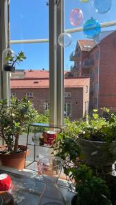 Room, central location في هالمستاد: نافذة مع نباتات الفخار على حافة النافذة