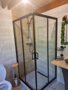 a shower stall in a bathroom with a toilet at Casuta Armonia in Moisei