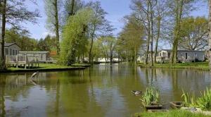 a river with two ducks swimming in it at Del's den lakeside weeley bridge 2bedroom in Weeley