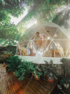 a man standing in a dome house with plants at Glamping Dome Dauin Beach Resort in Dauin