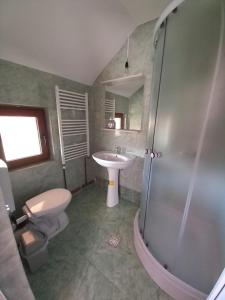 een badkamer met een wastafel, een toilet en een douche bij CASA LAVINIA CRASNA GORJ in Crasna