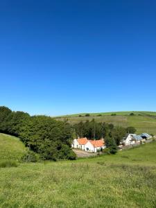 a group of houses in a grassy field at Borthwick Farm Cottage Annex in Gorebridge