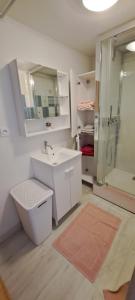 une salle de bain avec un lavabo et une douche dans l'établissement Maison de bourg, à Jumeaux 37 autres photos