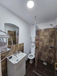 La salle de bains est pourvue d'un lavabo, de toilettes et d'une douche. dans l'établissement Traflor Termhouse, à Vénus