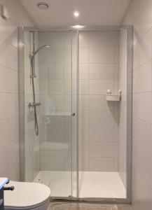 een glazen douche in een badkamer met een toilet bij B&B Stations Koffiehuis in Molkwerum