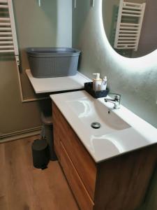 a bathroom with a sink and a mirror at Joli Appartement Marcq en Baroeul proche Lille in Marcq-en-Baroeul