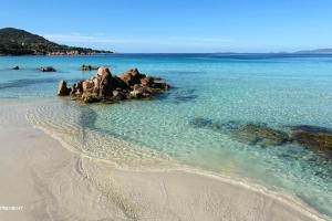 - une plage avec des rochers dans l'eau dans l'établissement Casa Mela, à Bastelicaccia