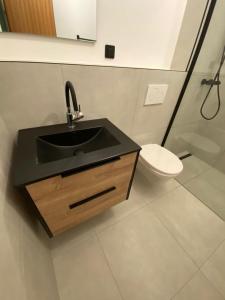 a bathroom with a sink and a toilet at Alpendomizil Pia in Mühlbach am Hochkönig