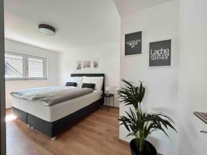 a bedroom with a bed and a potted plant at Ferienwohnung in Neubau in Schellenberg