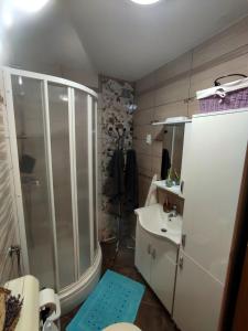 a bathroom with a shower and a sink at Počitniško stanovanje Aurora in Bovec