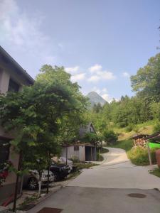 uma estrada que leva a uma casa com uma árvore em Počitniško stanovanje Aurora em Bovec