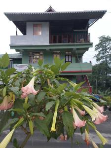 Gallery image of Hotel O Home Narayan Homestay & Adventures in Pelling