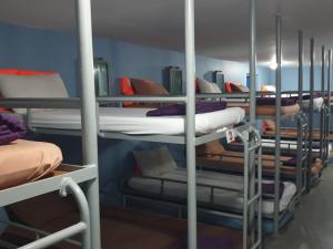 a group of bunk beds in a room at Chumphon - Koh Tao Night Ferry in Chumphon