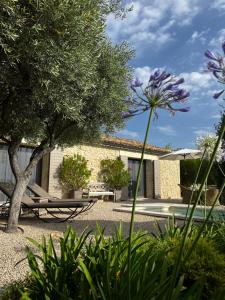 einen Garten mit einem Picknicktisch und einem Baum in der Unterkunft Le Mazet d'Emilia avec jardin et piscine privés in Cucuron